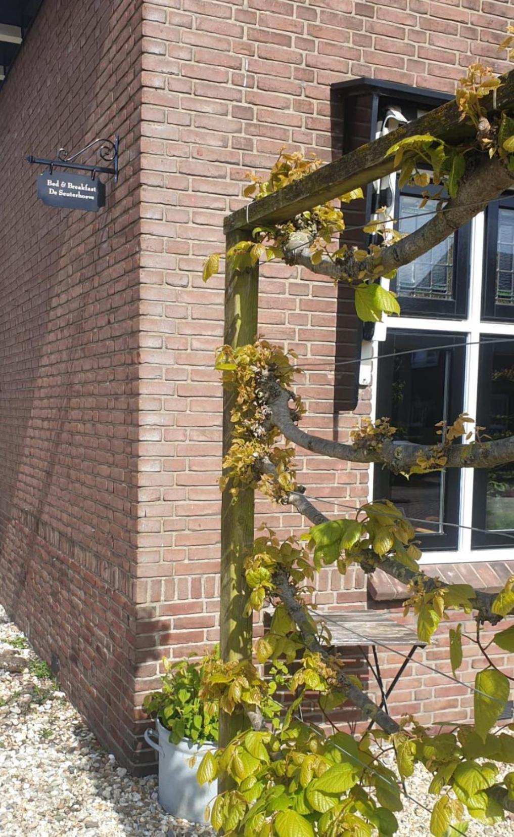 De Seuterhoeve 'S-Gravendeel ภายนอก รูปภาพ