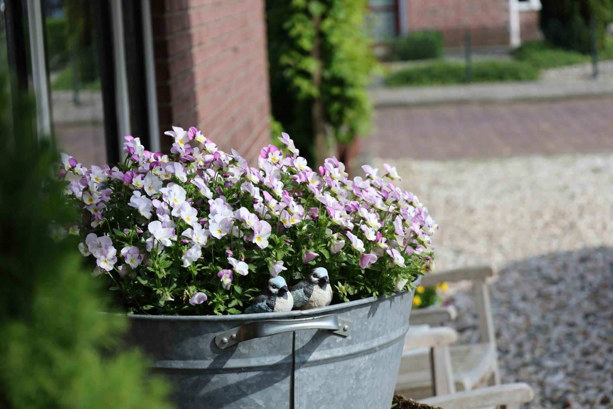 De Seuterhoeve 'S-Gravendeel ภายนอก รูปภาพ